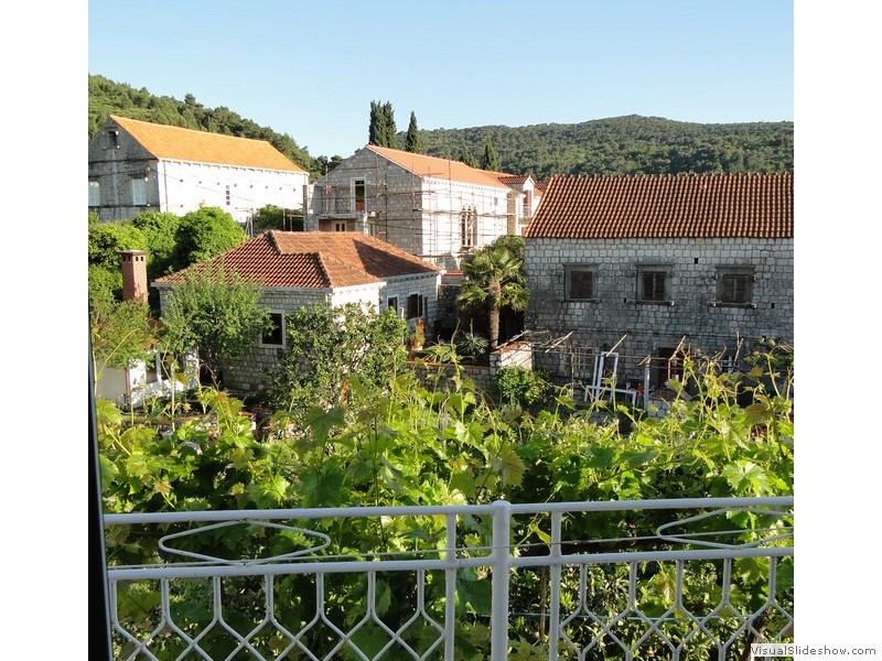 Grape Vines View from Balcony in Lopud, Croatia