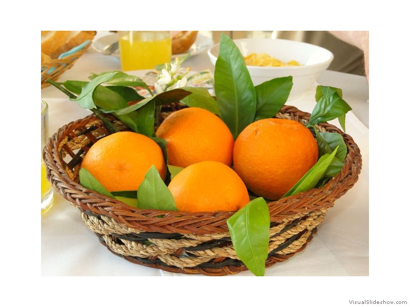 Oranges at Breakfast, Croatia
