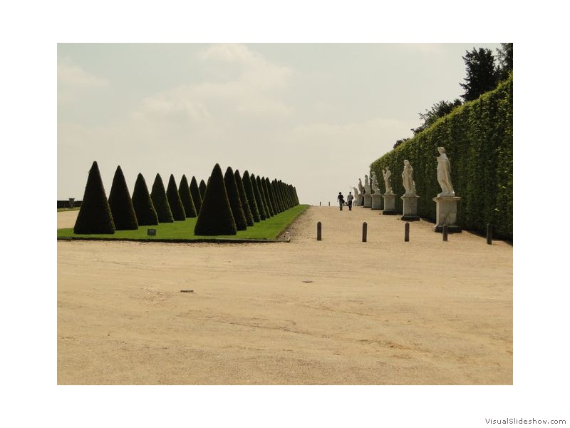 Versailles Trees and Statues