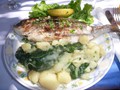 Lunch on Kolocep, Croatia - Grilled Fish
