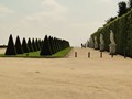 Versailles Trees and Statues