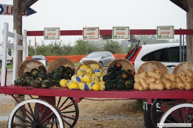 Al Ferri Squash Wagon