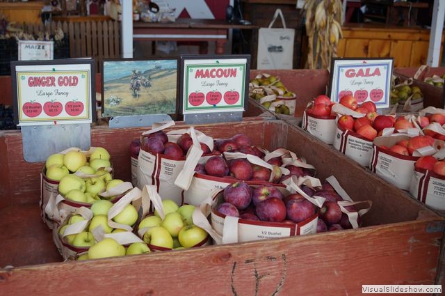Apples in Bin, Al Ferri Apple Farm