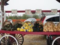 Al Ferri Squash Wagon