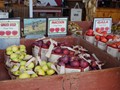 Apples in Bin, Al Ferri Apple Farm