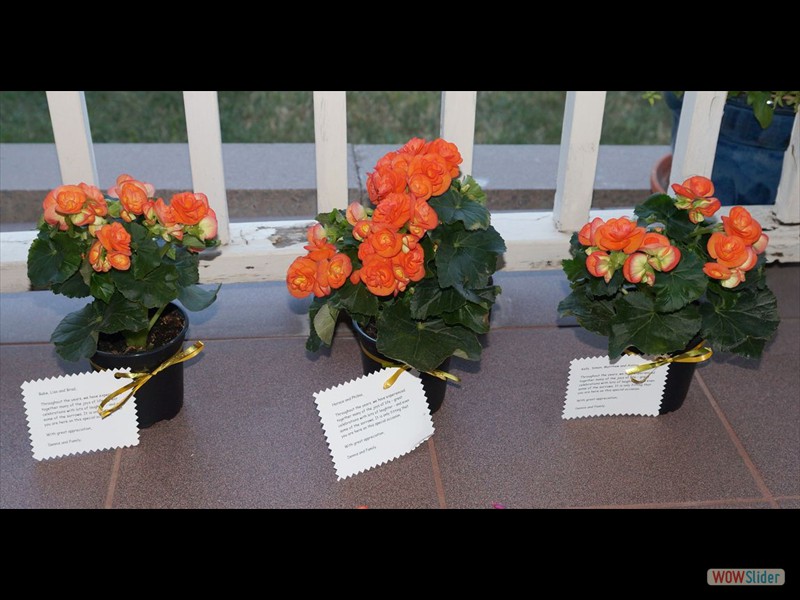 Thank You Begonias