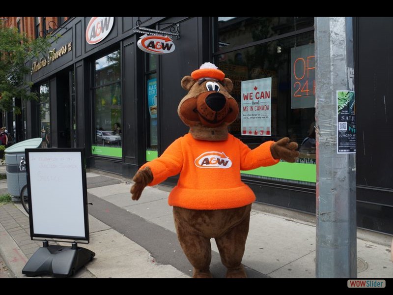 The Junction 07 - AW Bear