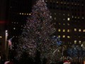 Rockefeller Tree, New York City