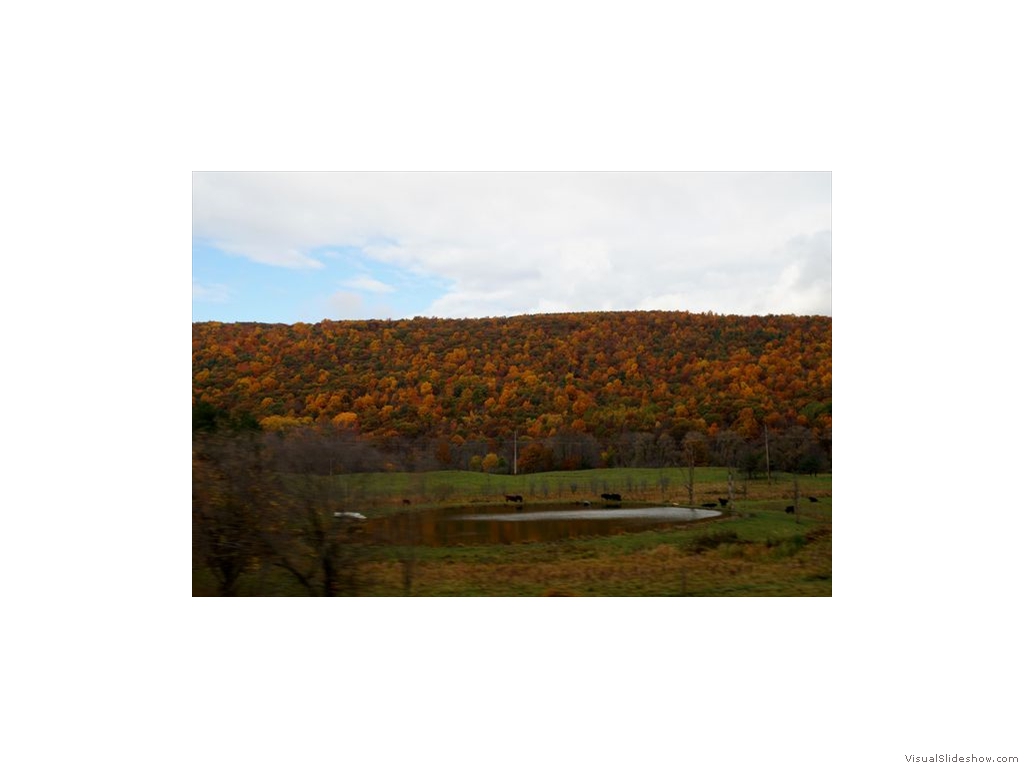 Finger Lake Countryside in Fall 2