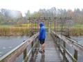 Cornell Plantations - Mike Looking Over Pond
