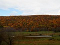 Finger Lake Countryside in Fall 2