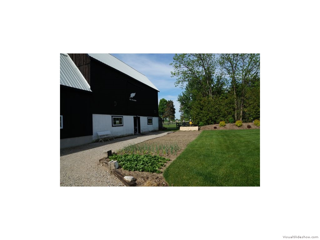 R and F Alpacas Bed and Breakfast Barn 2