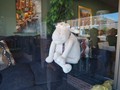 Stuffed Sheep in Tillsonburg Storefront
