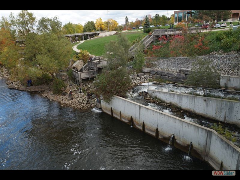 Thornbury - Fish Ladder 3