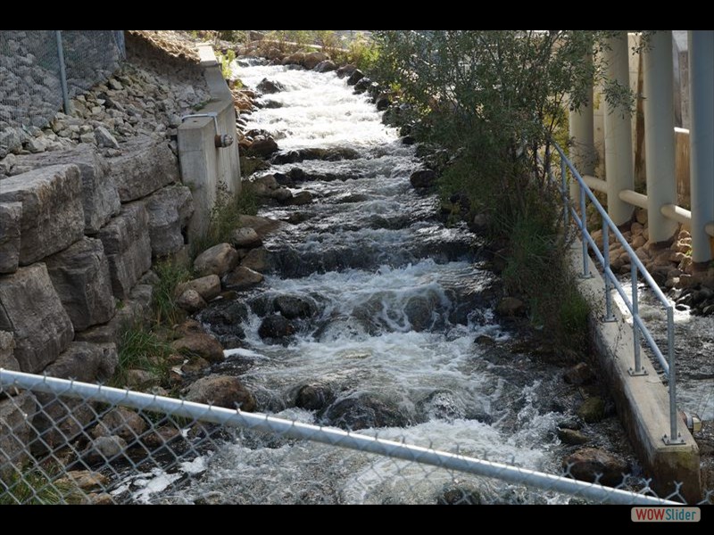 Thornbury - Fish Ladder 4