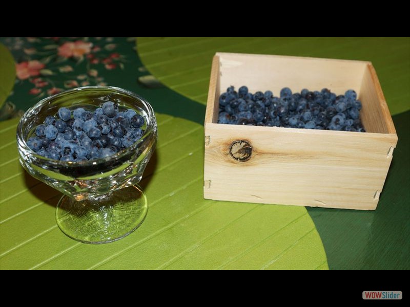 Wild Blueberries with the Box