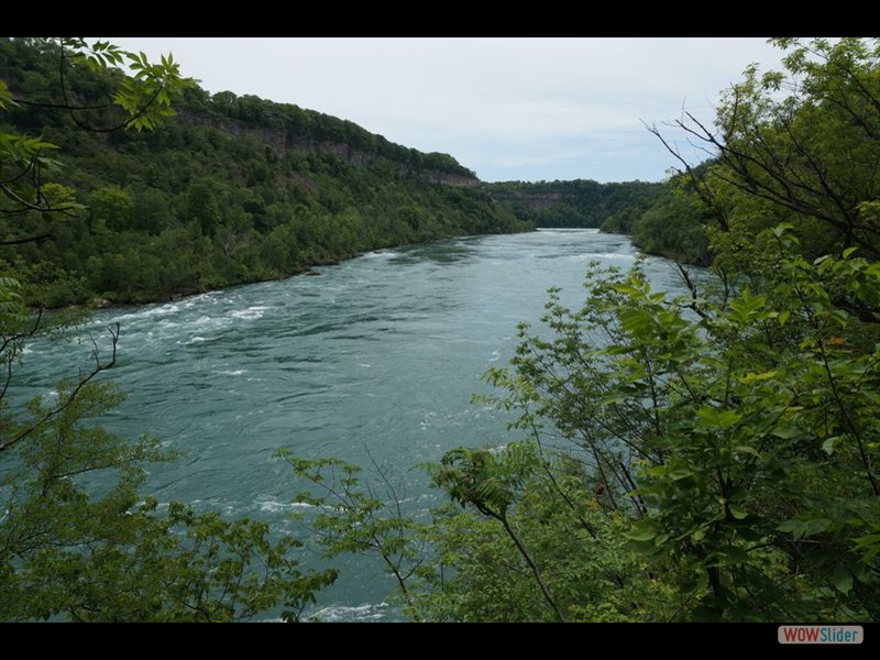 Niagara Glen 09