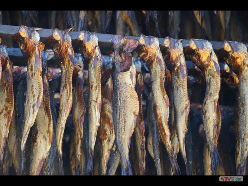 Fumoir D'Antan Smokehouse 02