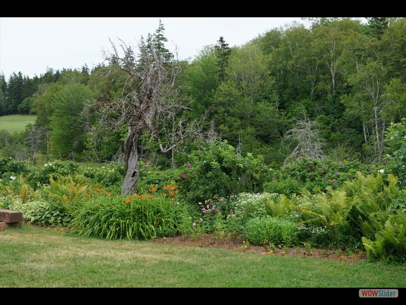Anne of Green Gables Park 11 - Gardens